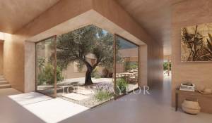 Vente Terrain Carvalhal