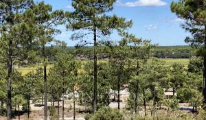Vente Terrain Carvalhal