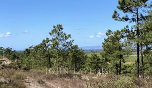 Vente Terrain Carvalhal