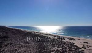 Vente Terrain Carvalhal