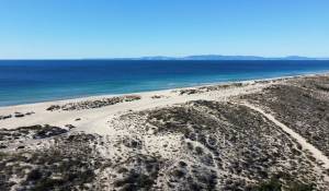 Vente Terrain Carvalhal