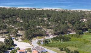 Vente Terrain Carvalhal