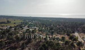 Vente Terrain Carvalhal