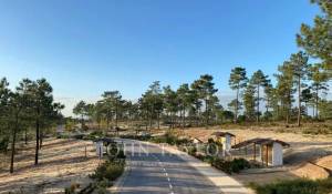 Vente Terrain Carvalhal