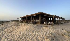 Vente Terrain Carvalhal