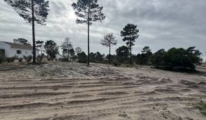 Vente Terrain Carvalhal