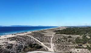 Vente Terrain Carvalhal