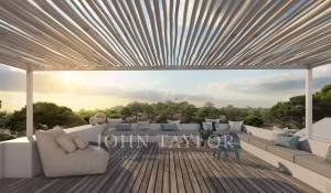 Vente Terrain Carvalhal