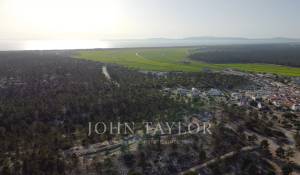 Vente Terrain Carvalhal