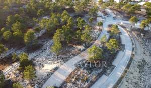 Vente Terrain Carvalhal