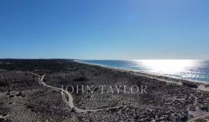 Vente Terrain Carvalhal