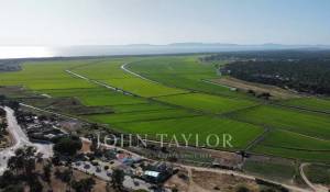 Vente Terrain Carvalhal