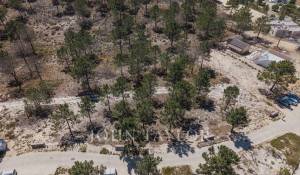 Vente Terrain Carvalhal