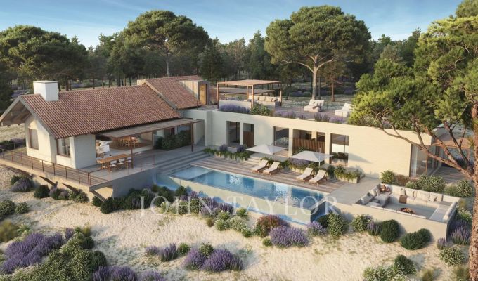 Vente Terrain Carvalhal