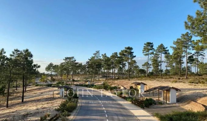 Vente Terrain Carvalhal