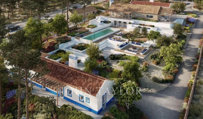 Vente Terrain Carvalhal