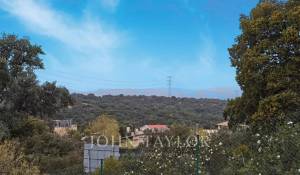 Vente Terrain Ciudalcampo