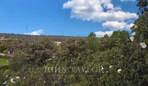 Vente Terrain Ciudalcampo