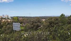 Vente Terrain Ciudalcampo