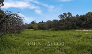 Vente Terrain Ciudalcampo