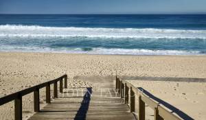 Vente Terrain Comporta