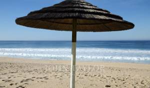 Vente Terrain Comporta