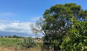 Vente Terrain Comporta