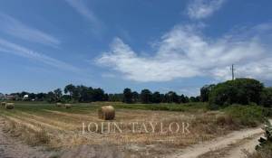 Vente Terrain Comporta