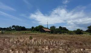 Vente Terrain Comporta