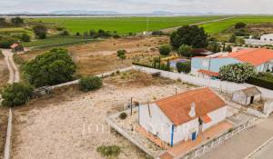 Vente Terrain Comporta