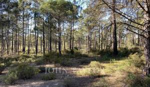 Vente Terrain Comporta