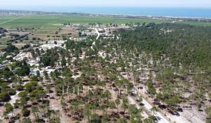 Vente Terrain Comporta