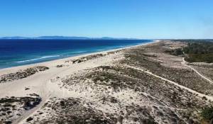 Vente Terrain Comporta