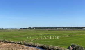 Vente Terrain Comporta