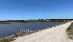 Vente Terrain Comporta