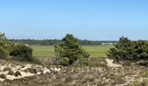 Vente Terrain Comporta