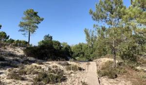 Vente Terrain Comporta