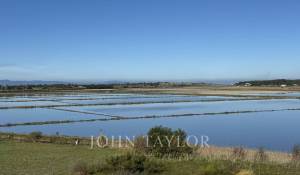 Vente Terrain Comporta