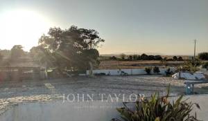 Vente Terrain Comporta