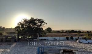 Vente Terrain Comporta