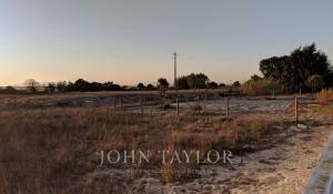 Vente Terrain Comporta