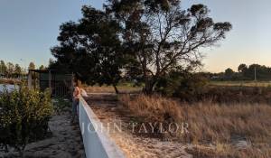 Vente Terrain Comporta