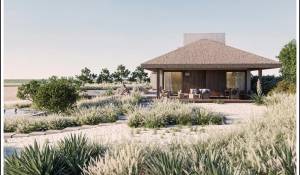 Vente Terrain Comporta