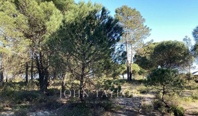Vente Terrain Comporta