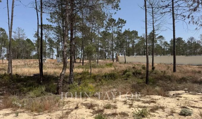 Vente Terrain Comporta