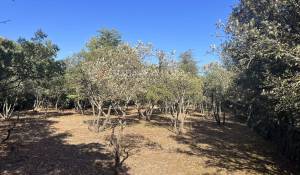 Vente Terrain constructible Cabrières-d'Avignon