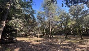 Vente Terrain constructible Cabrières-d'Avignon