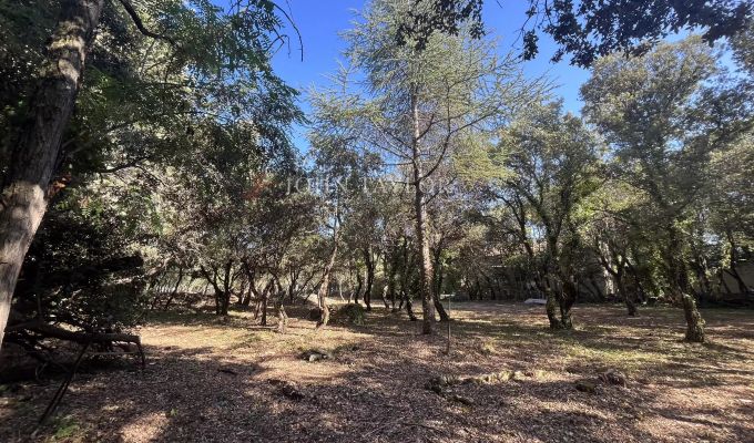 Vente Terrain constructible Cabrières-d'Avignon