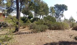 Vente Terrain constructible Cala Vinyes