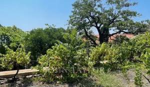 Vente Terrain constructible Cap-d'Ail